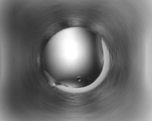 X0000088720267200706212026