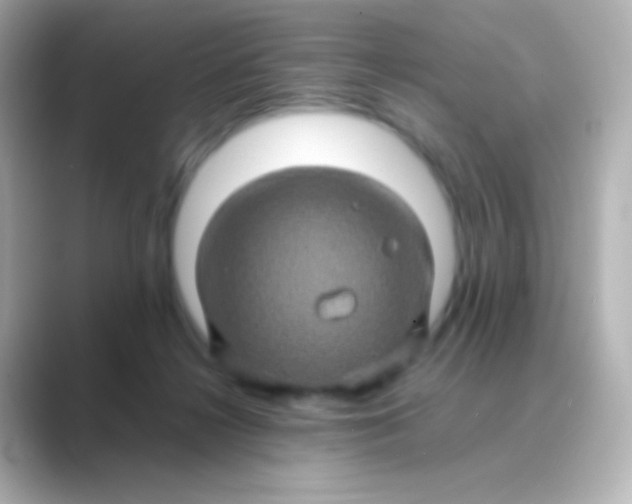 X0000088720268200706212026