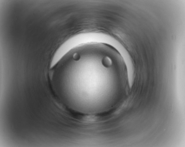 X0000088720269200706212026