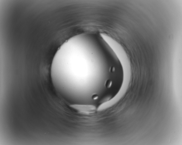 X0000088720271200706212026