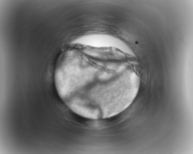 X0000088720273200706212026