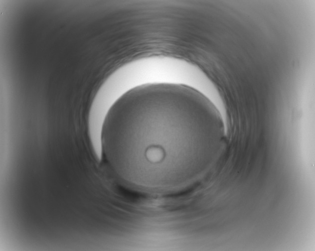 X0000088720276200706212026