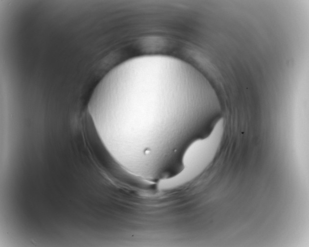 X0000088720277200706212026