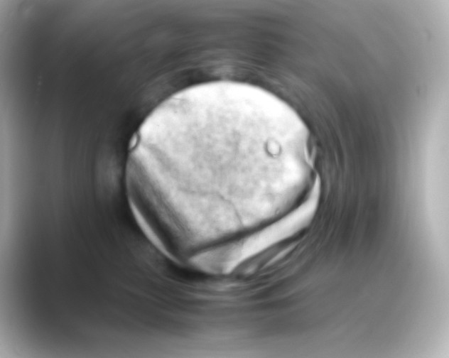 X0000088720279200706212026