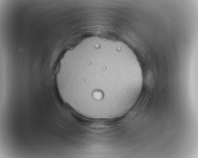 X0000088720280200706212026