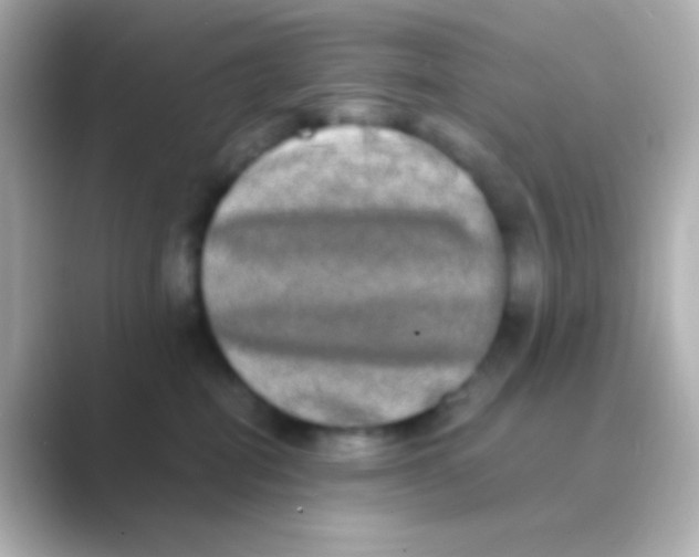 X0000088720282200706212026