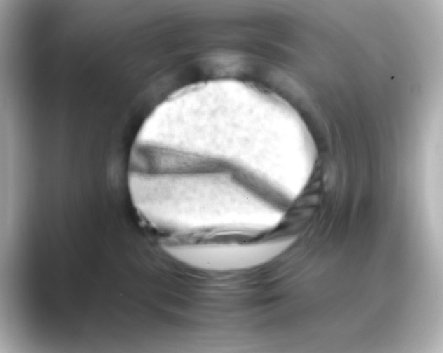 X0000088720283200706212026