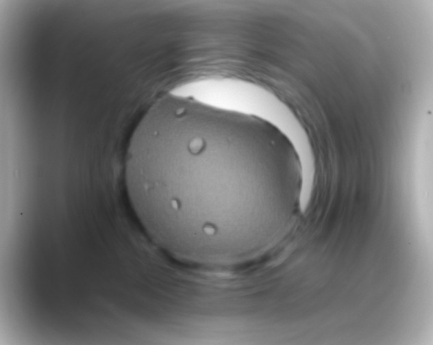 X0000088720284200706212026