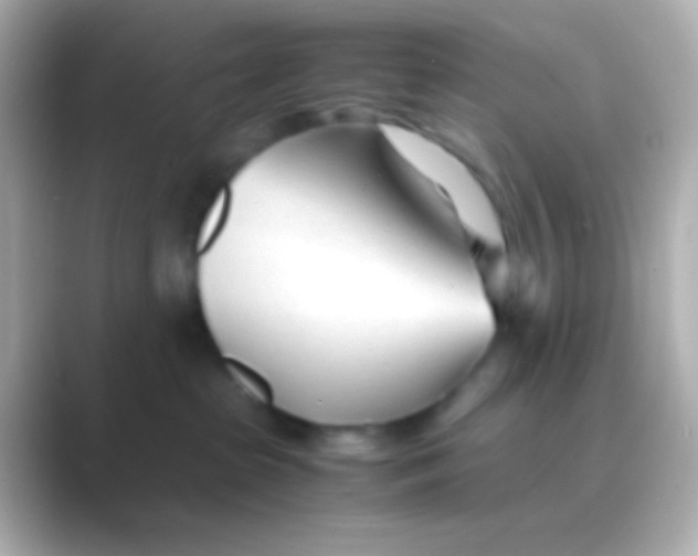 X0000088720285200706212026