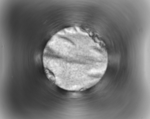 X0000088720286200706212026