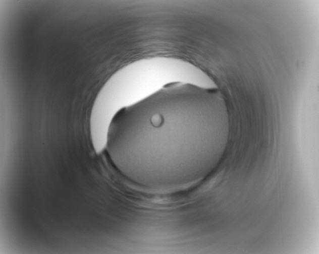 X0000088720288200706212026