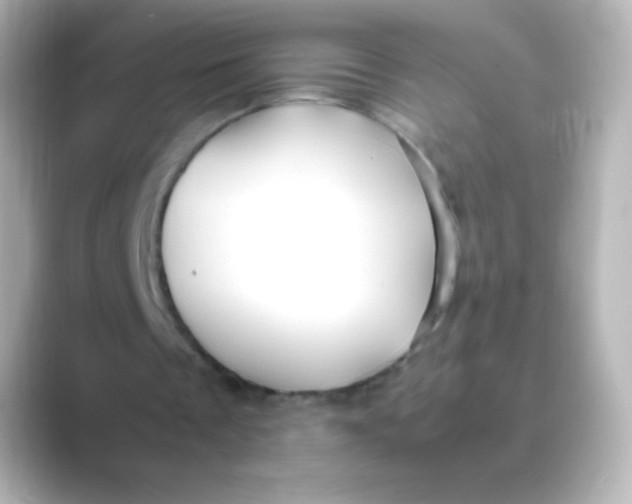 X0000088720289200706212025