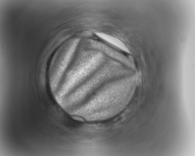 X0000088720291200706212025