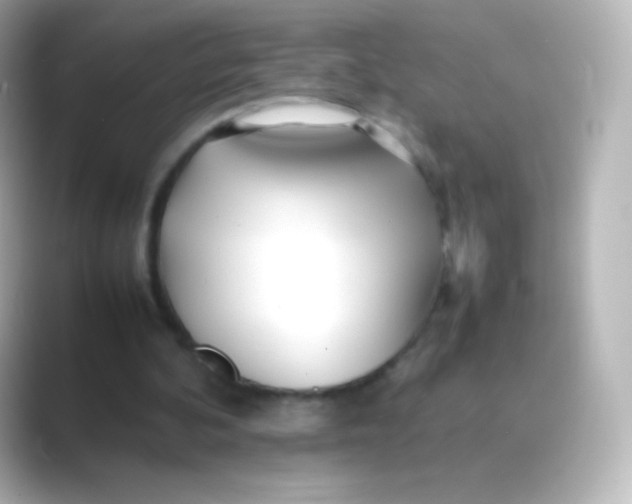 X0000088720292200706212025