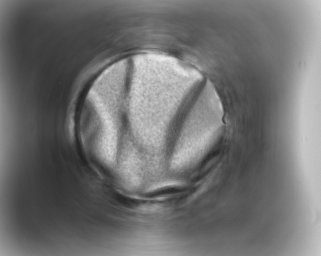 X0000088720294200706212025