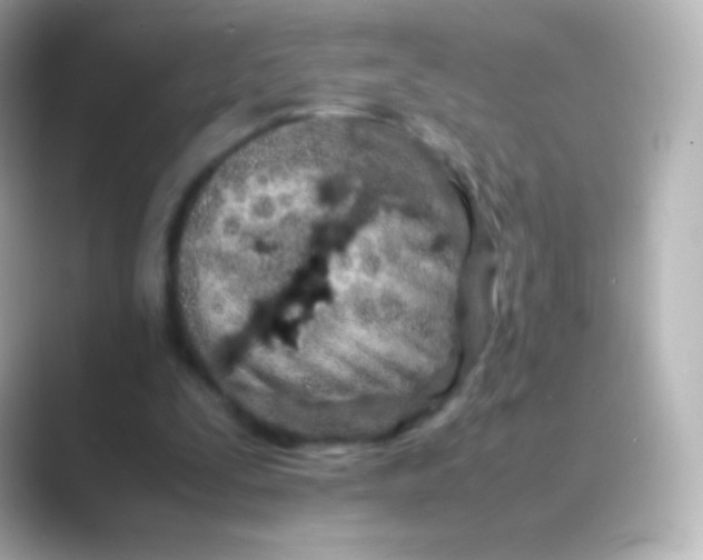 X0000088720295200706212025