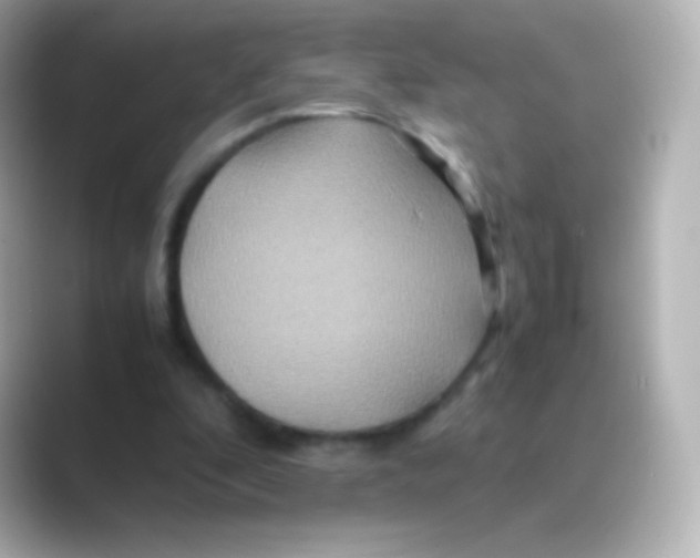 X0000088720296200706212025