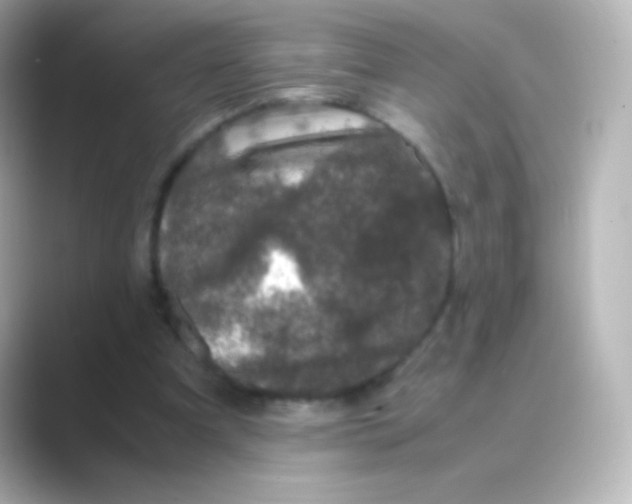 X0000088720297200706212025