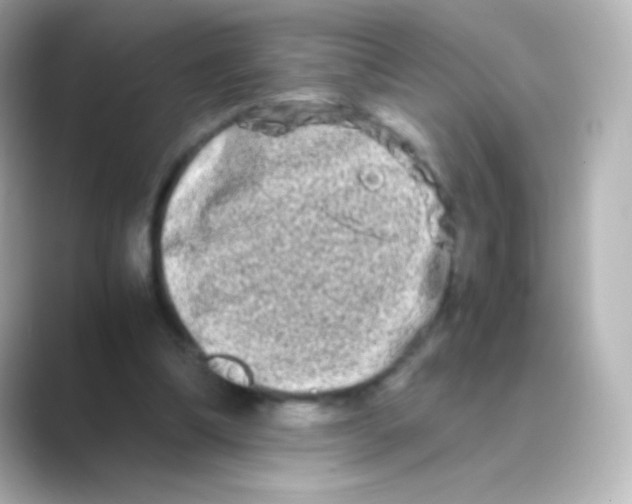 X0000088720298200706212025