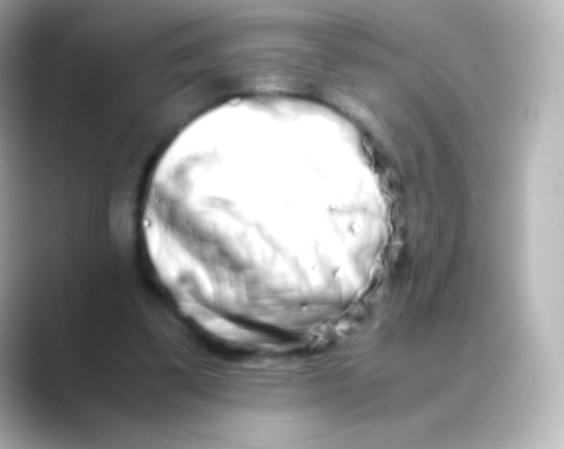 X0000088720299200706212025