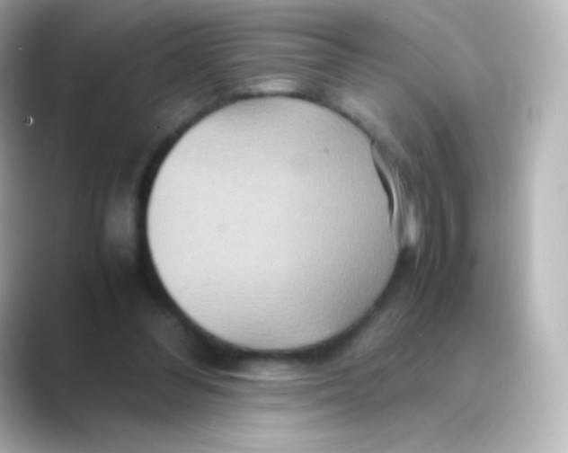 X0000088720300200706212025