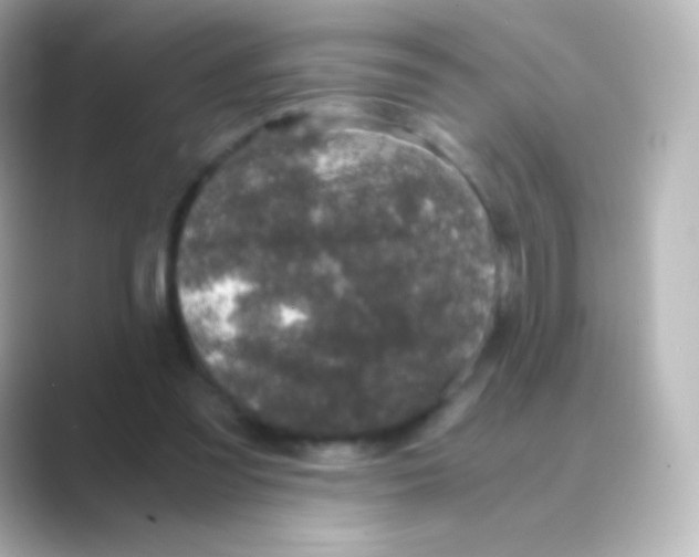 X0000088720301200706212025