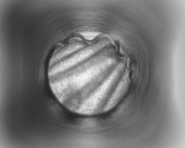 X0000088720303200706212025