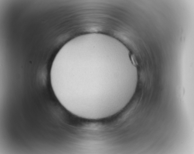 X0000088720304200706212025