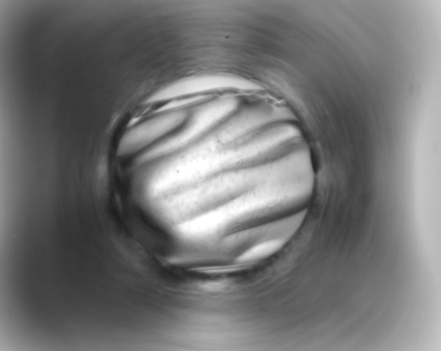 X0000088720306200706212025