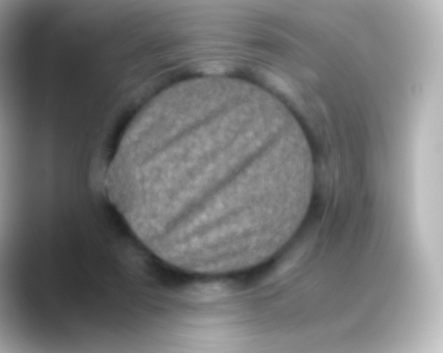 X0000088720307200706212025