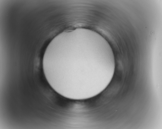 X0000088720308200706212025