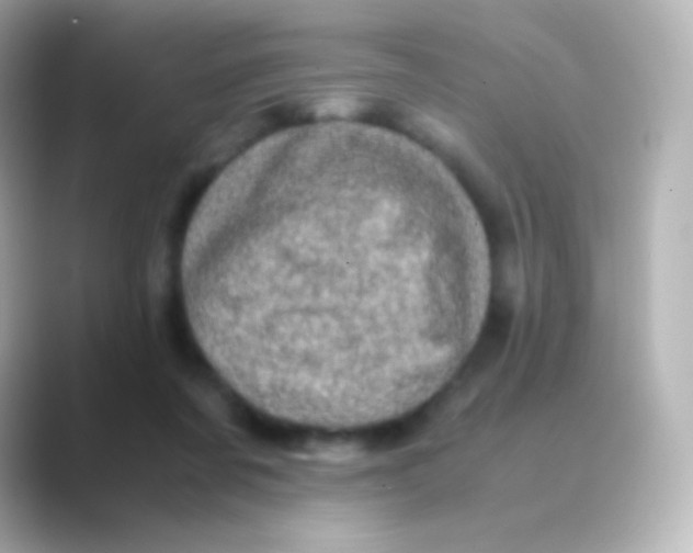 X0000088720311200706212025