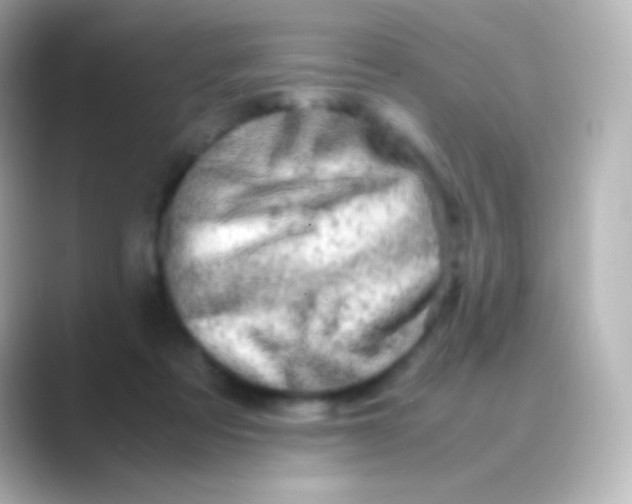 X0000088720313200706212025