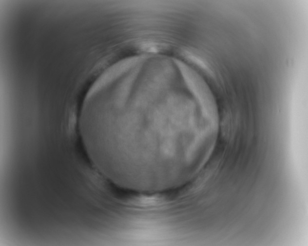 X0000088720314200706212025