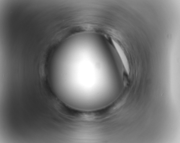 X0000088720317200706212025