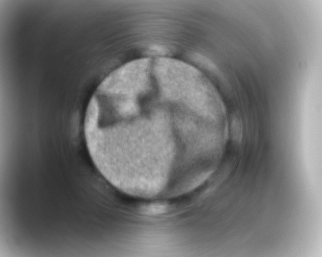 X0000088720318200706212025