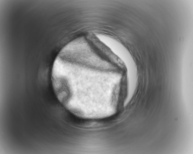 X0000088720319200706212025