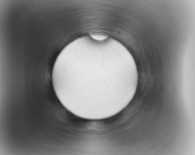 X0000088720320200706212025