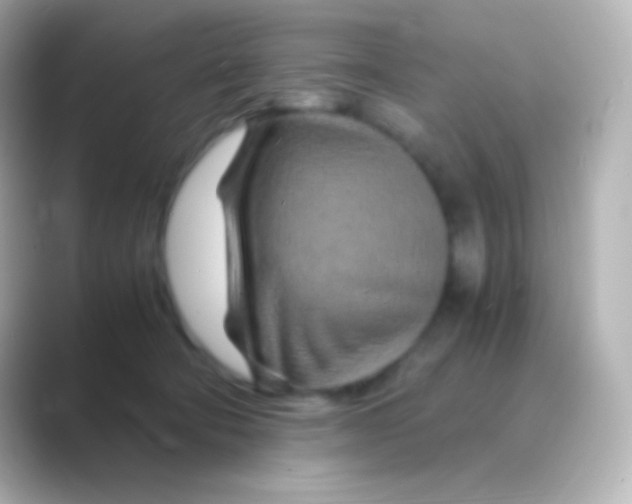 X0000088720322200706212025