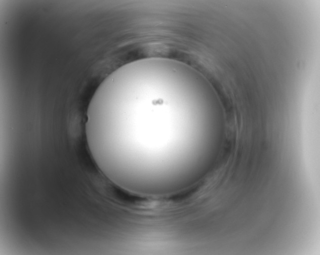 X0000088720323200706212025