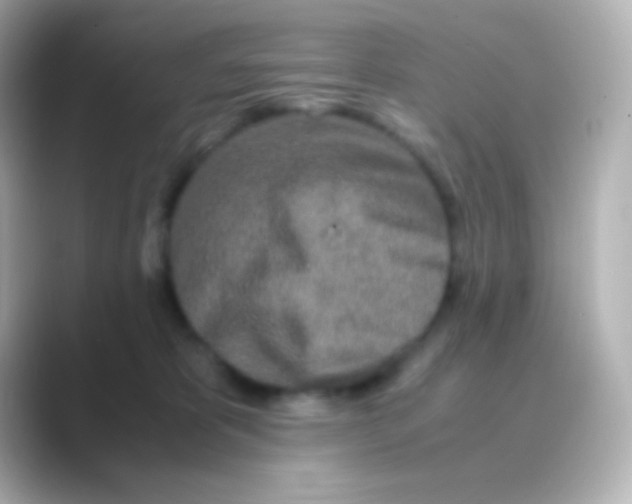 X0000088720325200706212025