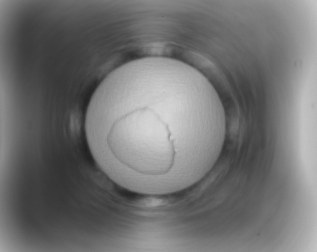 X0000088720326200706212025