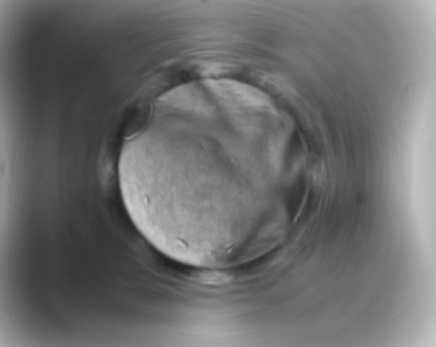 X0000088720327200706212025