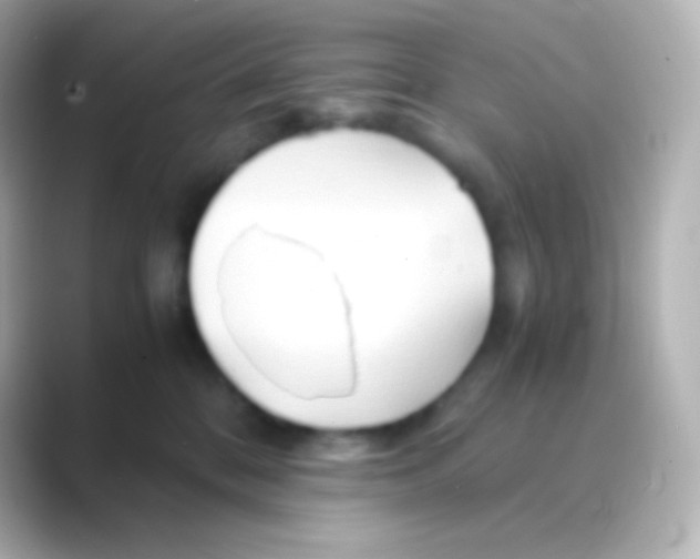 X0000088720328200706212025