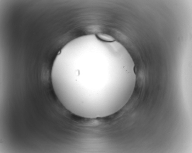 X0000088720330200706212025