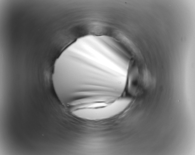 X0000088720333200706212025