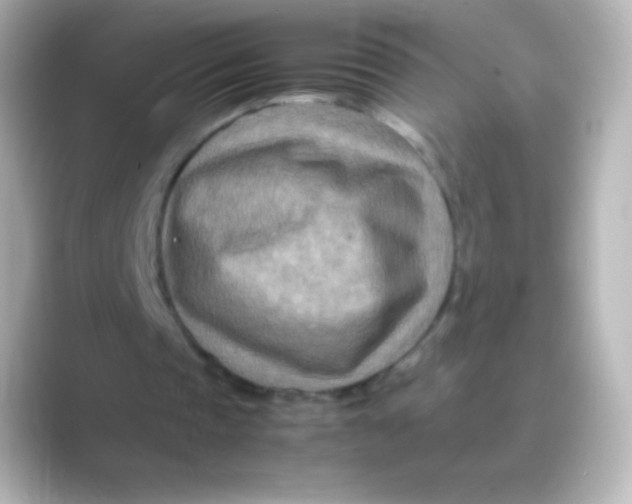 X0000088720337200706212024