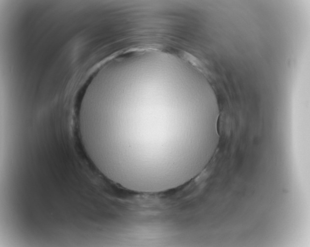 X0000088720338200706212024