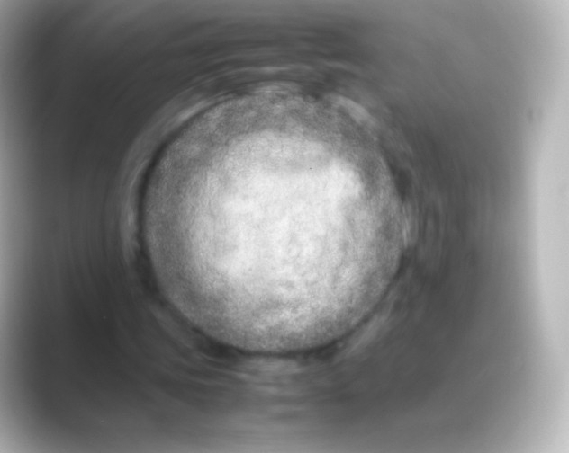 X0000088720339200706212024