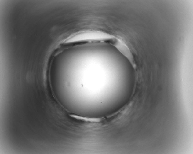 X0000088720340200706212024